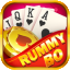 rummy good icon
