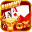 rummy in india
