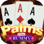 rummy new app